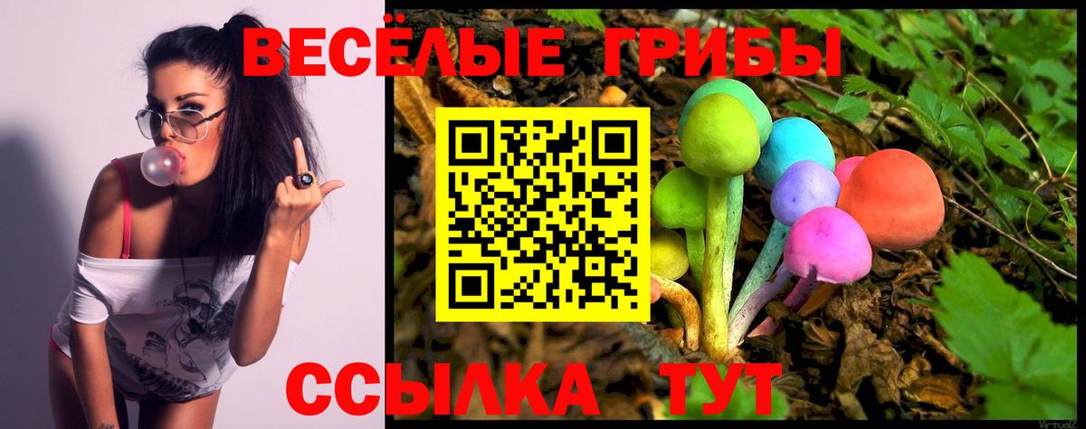 Псилоцибиновые грибы мицелий Рубцовск